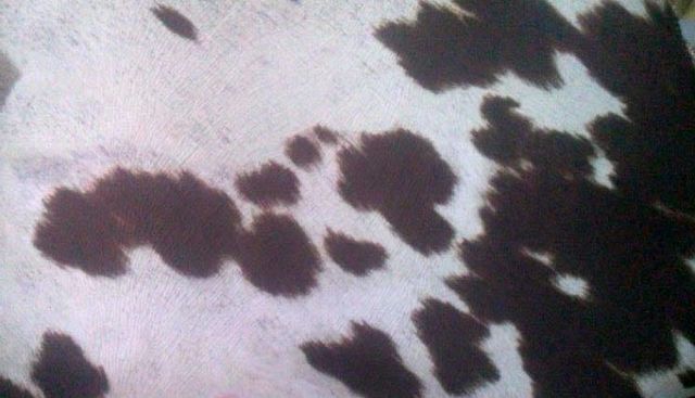UNDER MADNESS MILK