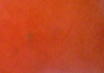 NOVASUEDE TANGERINE