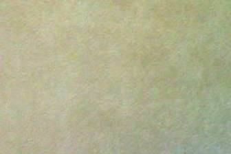 NOVASUEDE GOLD